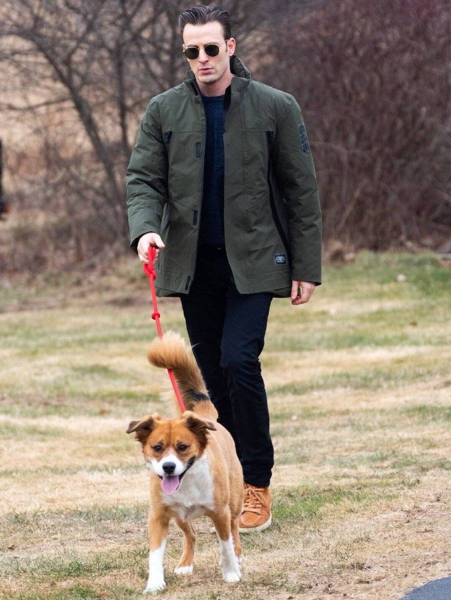 Chris Evans and His Dog: What a Calm, Happy Pet Routine Really Looks Like