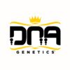 DNA Genetics logo